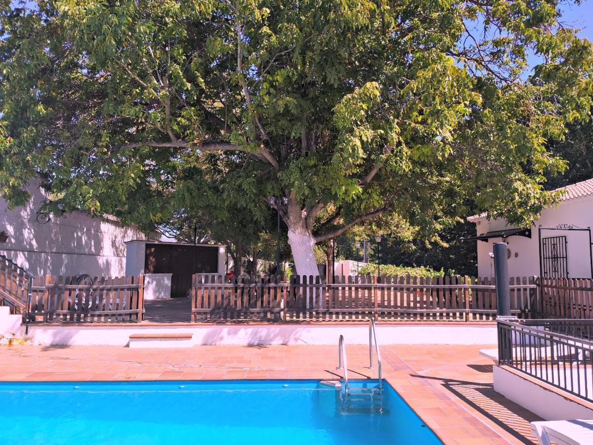 Complejo Apartamentos Rurales Molino De Abajo Ribera Baja  ภายนอก รูปภาพ