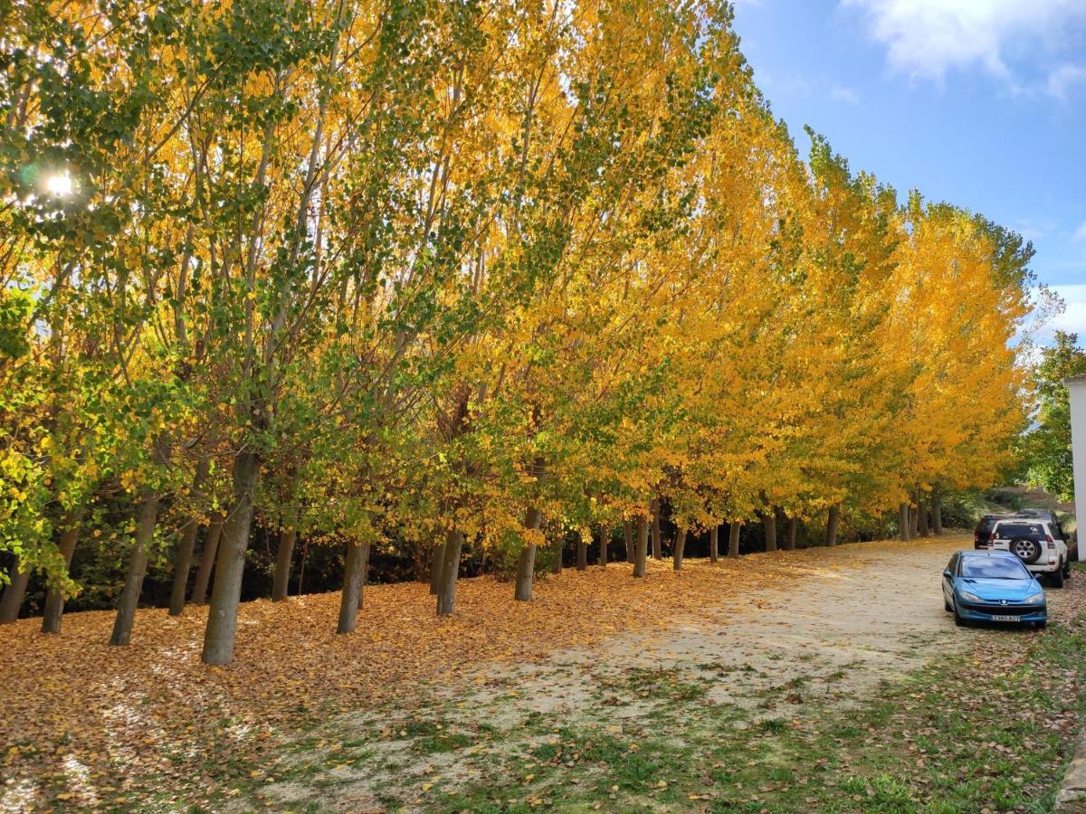 Complejo Apartamentos Rurales Molino De Abajo Ribera Baja  ภายนอก รูปภาพ