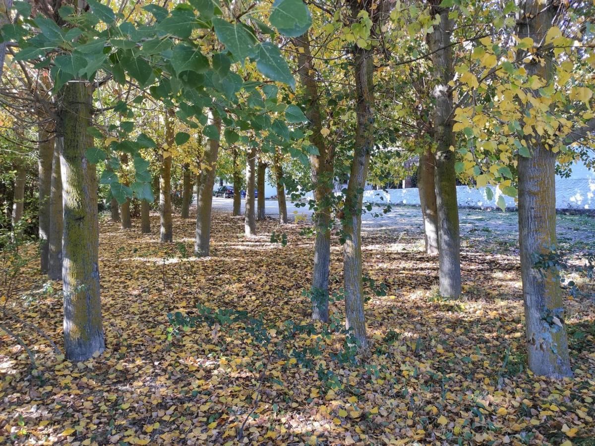 Complejo Apartamentos Rurales Molino De Abajo Ribera Baja  ภายนอก รูปภาพ