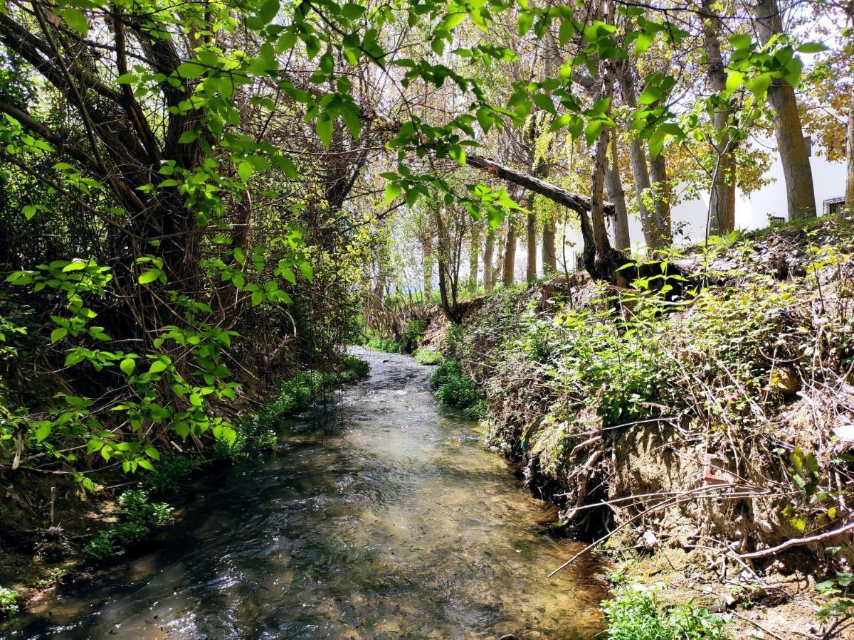 Complejo Apartamentos Rurales Molino De Abajo Ribera Baja  ภายนอก รูปภาพ